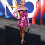 Skai Jackson Instagram - NOPE premiere 🌺 #STYLEDbyMonicaRose