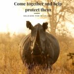Skeet Ulrich Instagram - Please help me support a cause I am a part of that is dear to my heart. Right now a group of veterans are on the ground in Africa fighting against a violent black market trade that is sending our elephants and many other iconic species into extinction. The illegal wildlife trade is the 4th biggest black market trade in the world worth over $20 billion dollars annually and is even connected to international terrorism. If you can or are willing to help, please go to @soldiers_for_wildlife and help them by sponsoring a ranger monthly or one of their new anti poaching puppies they are training for the field to help in their operations. ALL of this money is going directly to the front line and to the communities that surround these wildlife regions to empower them. If we don’t come together to support groups like this, it is in the near future we will lose the animals forever. Join the movement with me to help us save these iconic species from extinction. It's up to us. Link In Bio at @soldiers_for_wildlife