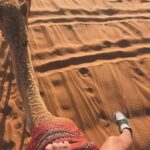 Skye Nicolson Instagram - Been there, dune that 🏜️ 🌵 🐪 Dubai Desert