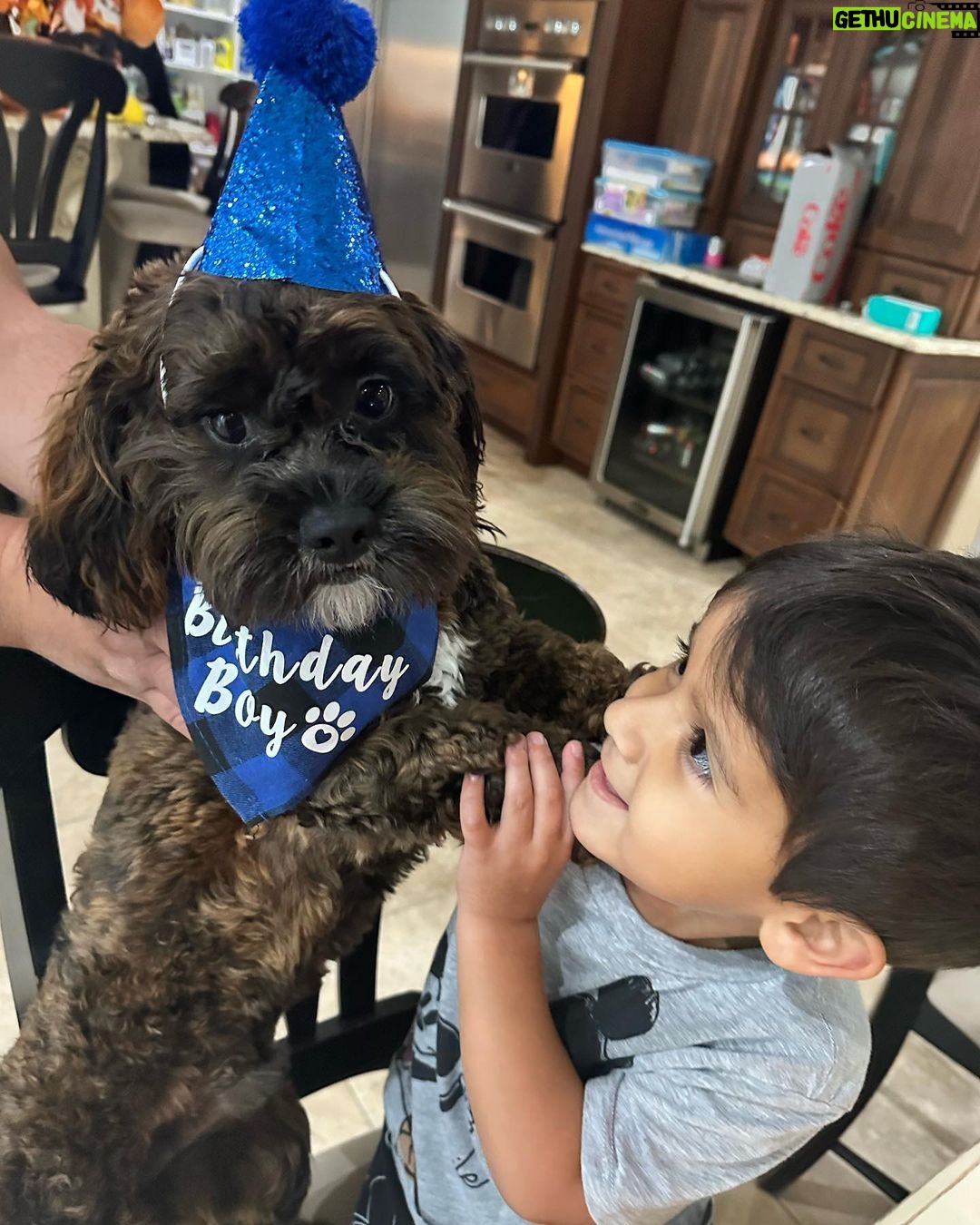 Snooki Instagram - One full year with you & don’t remember life before you! HAPPY 1ST BIRTHDAY to my 4th child. LOVE YOU SO MUCH ROCKAYYYY 👹🐾
