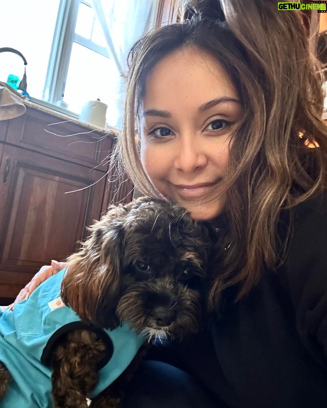 Snooki Instagram - MY ROCKY! I’ve been a mess these last few days with my 4th child undergoing surgery!! I want to say thank you so much to @stfrancisvmc for taking care of my baby!! So grateful Rocky has the best care! BRB, going to cuddle & spoil him all day! 🤕🩹❤️🩹