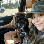 Snooki Instagram - ROCKY ROCKSTAR 🌟 he loves me i swear. (He’s annoyed he has the vet and groomers today. Drama.)