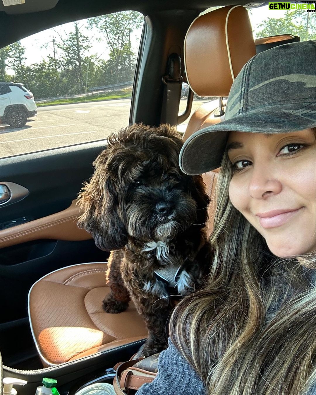 Snooki Instagram - ROCKY ROCKSTAR 🌟 he loves me i swear. (He’s annoyed he has the vet and groomers today. Drama.)