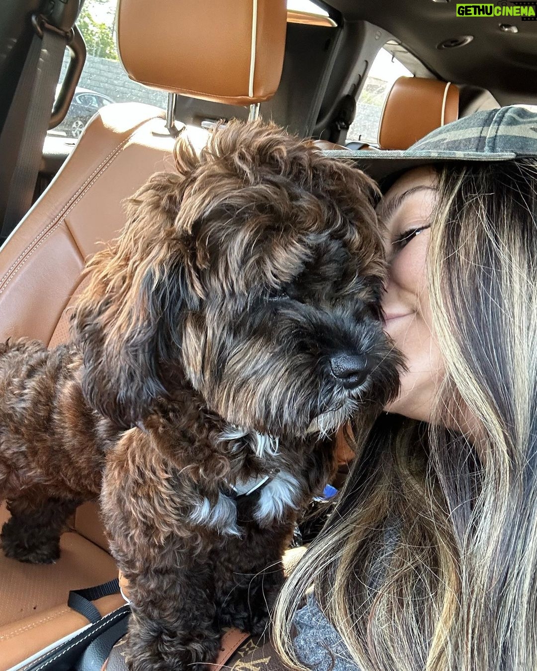 Snooki Instagram - ROCKY ROCKSTAR 🌟 he loves me i swear. (He’s annoyed he has the vet and groomers today. Drama.)