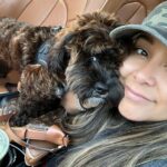 Snooki Instagram - ROCKY ROCKSTAR 🌟 he loves me i swear. (He’s annoyed he has the vet and groomers today. Drama.)