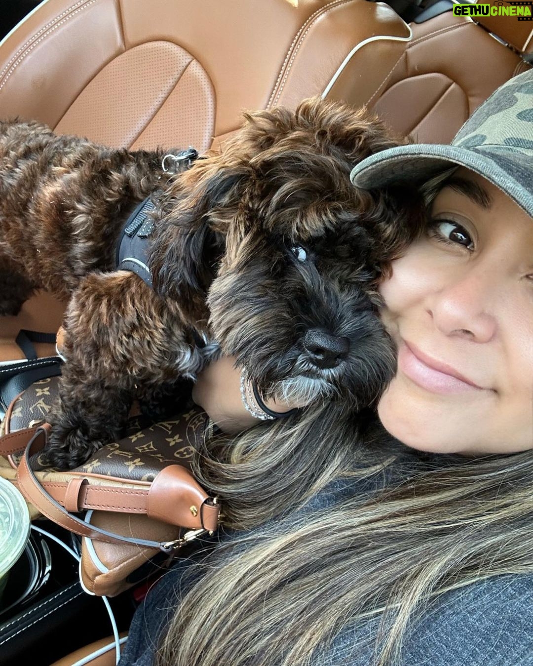 Snooki Instagram - ROCKY ROCKSTAR 🌟 he loves me i swear. (He’s annoyed he has the vet and groomers today. Drama.)