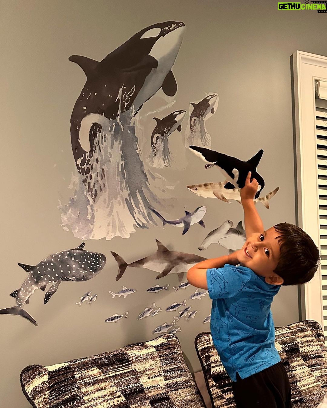 Snooki Instagram - Happy 4th birthday to my squishy baby! Hope you had the best day with sharks, whales and habachi! Love you forever & always 🐋💕