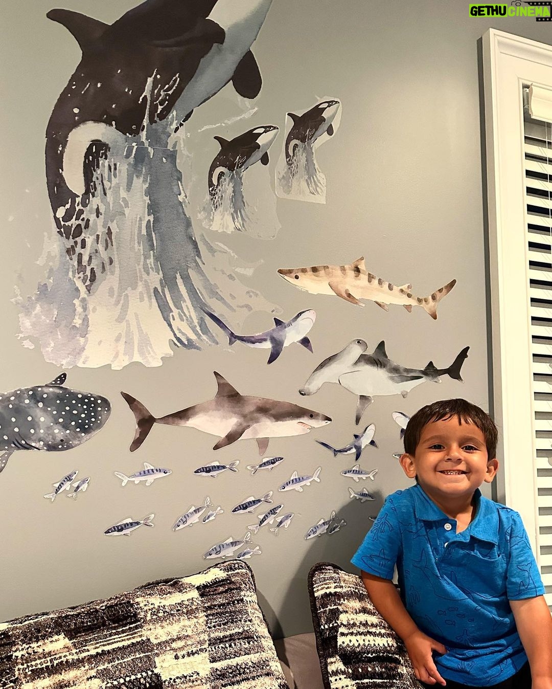 Snooki Instagram - Happy 4th birthday to my squishy baby! Hope you had the best day with sharks, whales and habachi! Love you forever & always 🐋💕