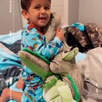 Snooki Instagram - He lives on! My BFF heirloom crocadilly will be passed down for generations. 🐊