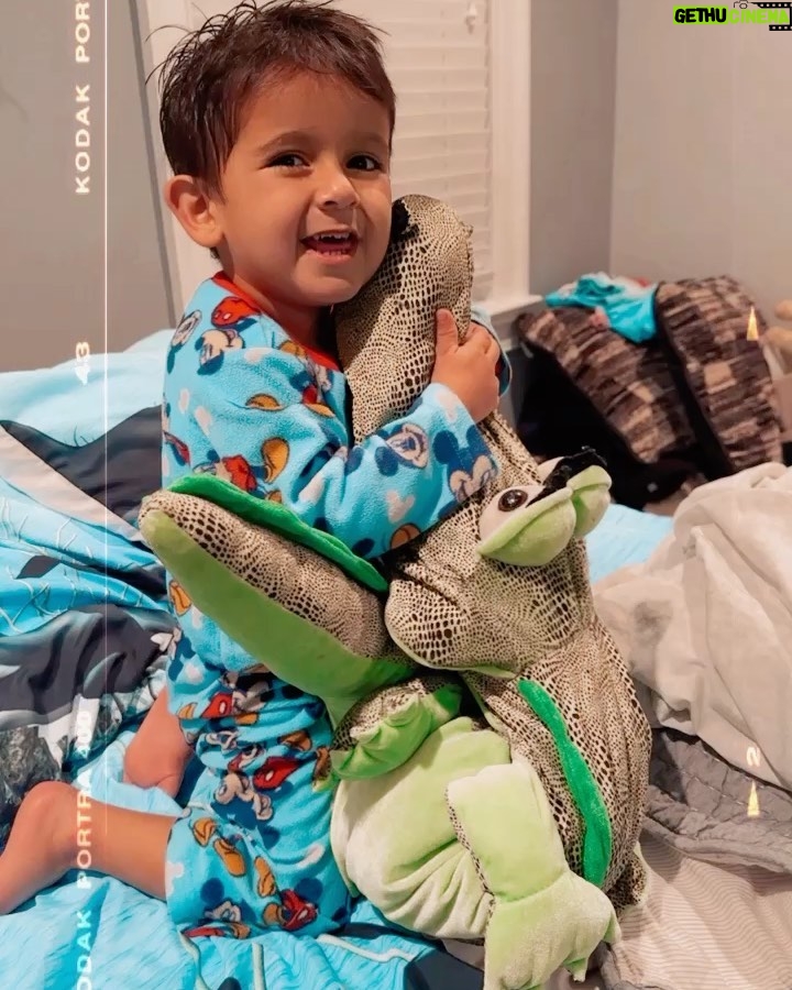 Snooki Instagram - He lives on! My BFF heirloom crocadilly will be passed down for generations. 🐊