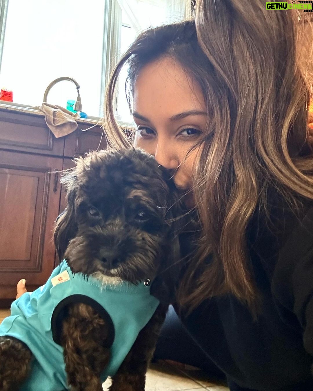 Snooki Instagram - MY ROCKY! I’ve been a mess these last few days with my 4th child undergoing surgery!! I want to say thank you so much to @stfrancisvmc for taking care of my baby!! So grateful Rocky has the best care! BRB, going to cuddle & spoil him all day! 🤕🩹❤️🩹