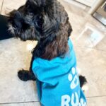 Snooki Instagram - MY ROCKY! I’ve been a mess these last few days with my 4th child undergoing surgery!! I want to say thank you so much to @stfrancisvmc for taking care of my baby!! So grateful Rocky has the best care! BRB, going to cuddle & spoil him all day! 🤕🩹❤️‍🩹