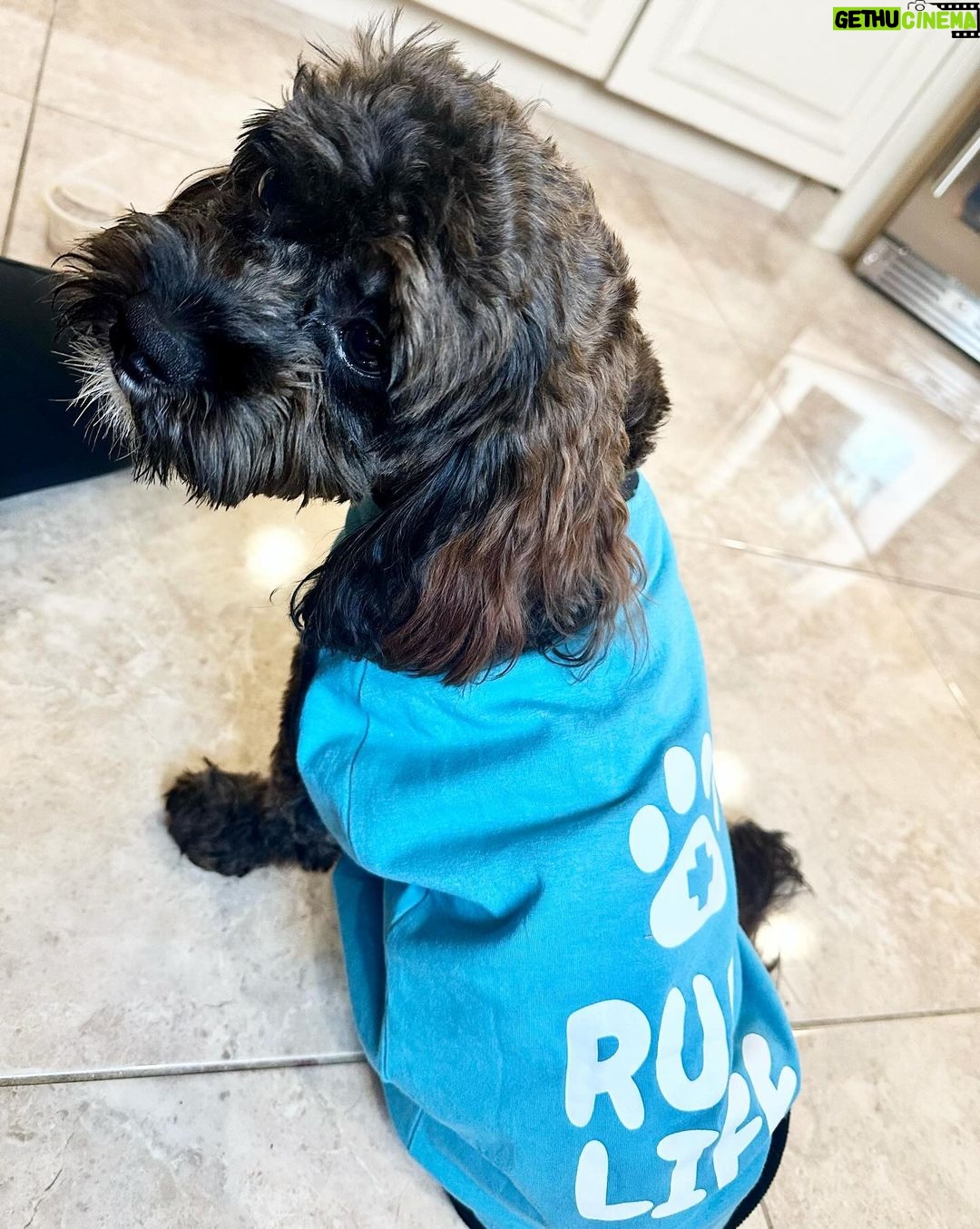 Snooki Instagram - MY ROCKY! I’ve been a mess these last few days with my 4th child undergoing surgery!! I want to say thank you so much to @stfrancisvmc for taking care of my baby!! So grateful Rocky has the best care! BRB, going to cuddle & spoil him all day! 🤕🩹❤️🩹