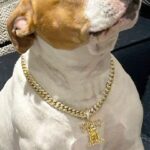 Snoop Dogg Instagram -