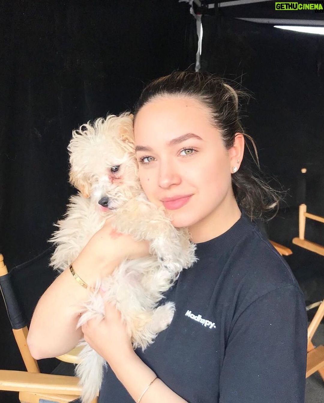 Sofia Carson - 1 Million Likes - Happy Birthday Joey🤍 The love of our life, our gift from heaven. I’ve loved every moment of loving you my fuffa. My Doll, Joey is the luckiest in the whole WORLD to have you🤍 My heart is yours forever and ever my doll and my fuffa. Happiest Fuffa Day.