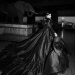 Sofia Carson Instagram – night at the museum Museum of Natural History