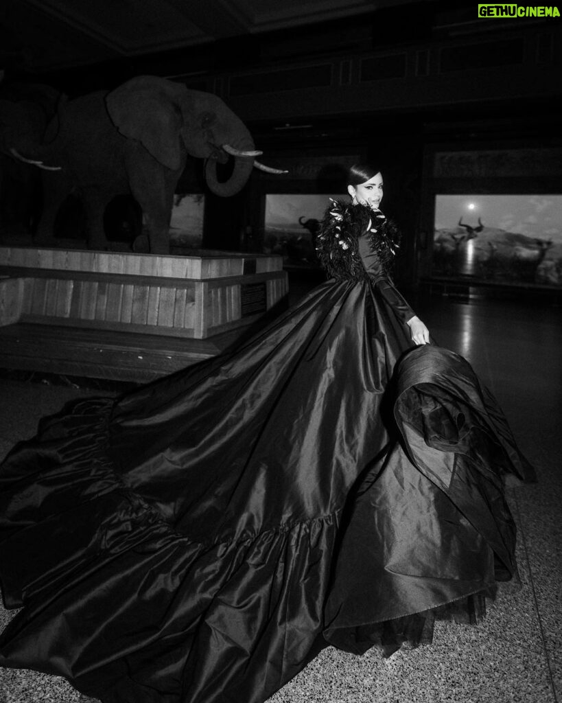 Sofia Carson Instagram - night at the museum Museum of Natural History