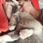 Solène Hebert Instagram – Je n’ai pas les mots, et sûrement pas envie de les avoir. Juste vous dire que Pablo s’est éteint aujourd’hui à 8 ans et demie. Son rein a finalement lâché après qu’il se soit battu pendant 4 ans. On lui avait annoncé 2 ans à vivre maximum. Mais il était têtu
