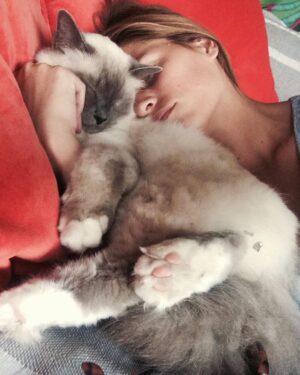 Solène Hébert Instagram - Je n’ai pas les mots, et sûrement pas envie de les avoir. Juste vous dire que Pablo s’est éteint aujourd’hui à 8 ans et demie. Son rein a finalement lâché après qu’il se soit battu pendant 4 ans. On lui avait annoncé 2 ans à vivre maximum. Mais il était têtu