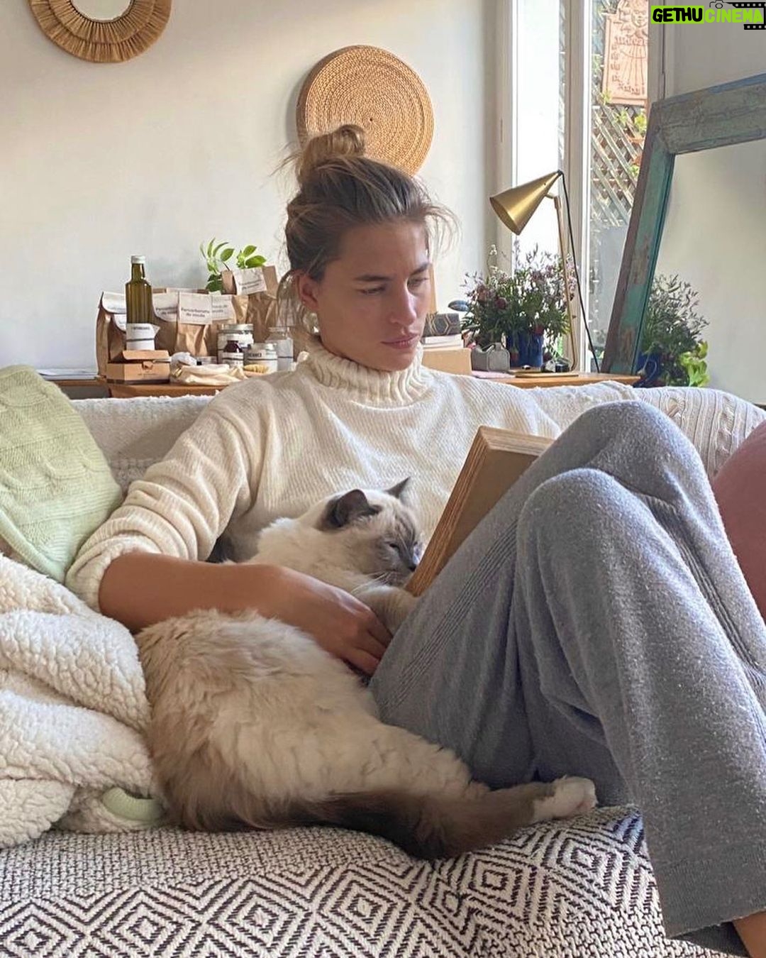 Solène Hébert - 35.9K Likes - Je n’ai pas les mots, et sûrement pas envie de les avoir. Juste vous dire que Pablo s’est éteint aujourd’hui à 8 ans et demie. Son rein a finalement lâché après qu’il se soit battu pendant 4 ans. On lui avait annoncé 2 ans à vivre maximum. Mais il était têtu