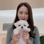 Son Ye-jin Instagram - 요로부운~~너무 오랜만이죠..😅 저는 드라마촬영도 시작하고 하루하루 잘지내고 있어요~오늘은 광고촬영중이에요^^ 여러분들 보고싶오요🥰 다들 잘지내고 있지요?! 건강히 하루하루 잘지내길 바래요🙏 종종 소식 전할께요💕 It’s been a long time. I really miss you guys!!🥲 I’m starting drama shooting. I hope you will be doing well 💕 Be safe🙏