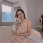 Son Ye-jin Instagram - 엄마따라 촬영장 왔오요🐶 간식만 주세요..계속계속..제발🥺
