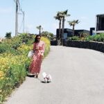 Son Ye-jin Instagram - 얼마전 제주도에서🌴 커플옷입고🐶💕 오늘 하루종일 흐린 날씨네요..그래도 내일은 주말이에요.얏호🤸‍♀️🤸🏼‍♂️ Have a nice weekend 💕