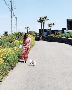 Son Ye-jin Instagram - 얼마전 제주도에서🌴
커플옷입고🐶💕

오늘 하루종일 흐린 날씨네요..그래도 내일은 주말이에요.얏호🤸‍♀️🤸🏼‍♂️ 
Have a nice weekend 💕