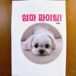 Son Ye-jin Instagram - 🐶🙃