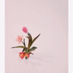 Son Ye-jin Instagram - 봄🌸