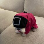 Son Ye-jin Instagram - 일곱번째 게임을 시작하겠습니다.. ⭕️🔺🟥 The 7th game will begin shortly.