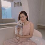 Son Ye-jin Instagram - 엄마따라 촬영장 왔오요🐶 간식만 주세요..계속계속..제발🥺