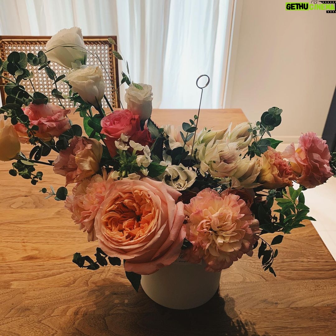 Son Ye-jin Instagram - 안녕하세요~어려운 시기에 잘지내고계신가요? 여러분이 주시는 선물.꽃.편지.케잌들.항상 잘 받고있어요. 일일이 고맙다고 말을못해서 이렇게 글을써요.정말 여러분들이 주는사랑에 문득문득 뭉클할때가있어요.여러분이 선물을 고르기전에 편지를 쓰기전에 얼마나 예쁜마음으로 준비를하고 고민을할지 느껴져서 그런것같아요. 그동안 보내준 선물들 사진을 다찍어두지 못해서 미안해요. 집은항상 여러분이 보내주는 화분과꽃으로 향기가 가득하고 주위사람들과 자르기도 아까운 케잌들을 아주 자주 나눠먹어요~여러분들이 주시는 사랑이 너무 커서 그것을 기쁘게만 받아도 될지 모를정도에요. 항상 감사하고 잊지않을께요. 우리 계속 건강지키면서 다시 웃으며 깊은허그를 할수있는 날이 오길 바래요.건강하세요! Hi~Are you guys doing well? We’re spending a hard time. I always received presents,flowers,cakes and letters. Unfortunately I can’t thank each person. So I’m writing now. When I think about your support and love, I feel very touched. Before buying presents or writing letters I can’t imagine,How much you are thinking of and considering..😭 I’m so sorry, I couldn’t photograph everything. My house is always beautifully filled with the scent of flowers and plants that I’ve received from you. And I’m eating cakes are too pretty to cut with my family very often. I’m always appreciate and won’t forget. We should keep going our health and I hope someday we can meet again and share a warm hug. Thank you 😊 Be safe 🙏