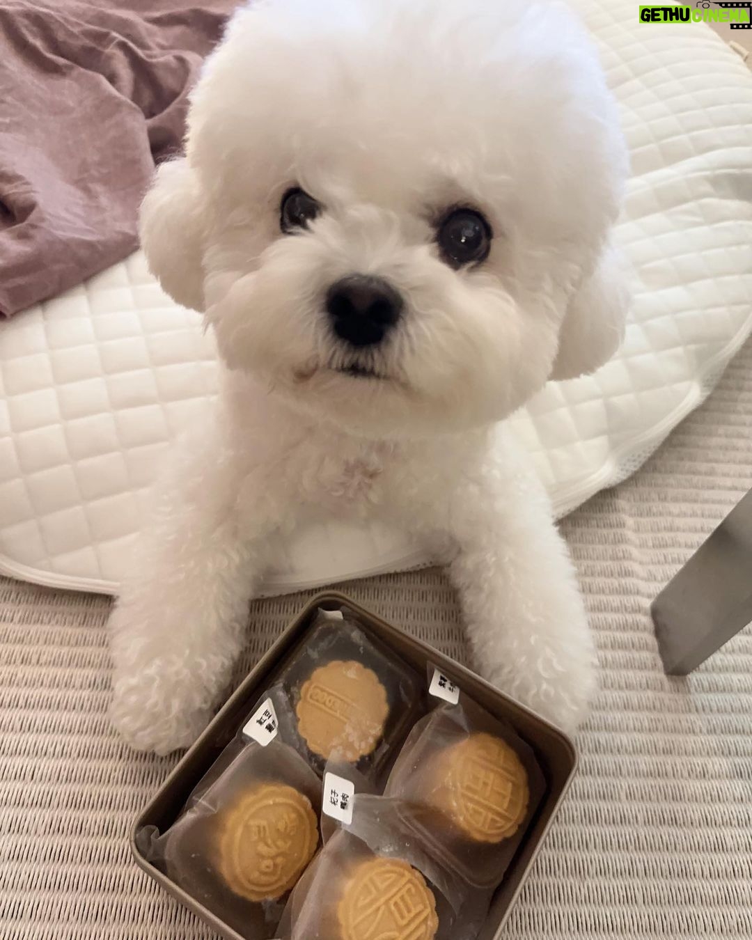 Song Hye-kyo - 3 Million Likes - š¶š„®