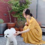 Song Hye-kyo Instagram - ☀️🐾