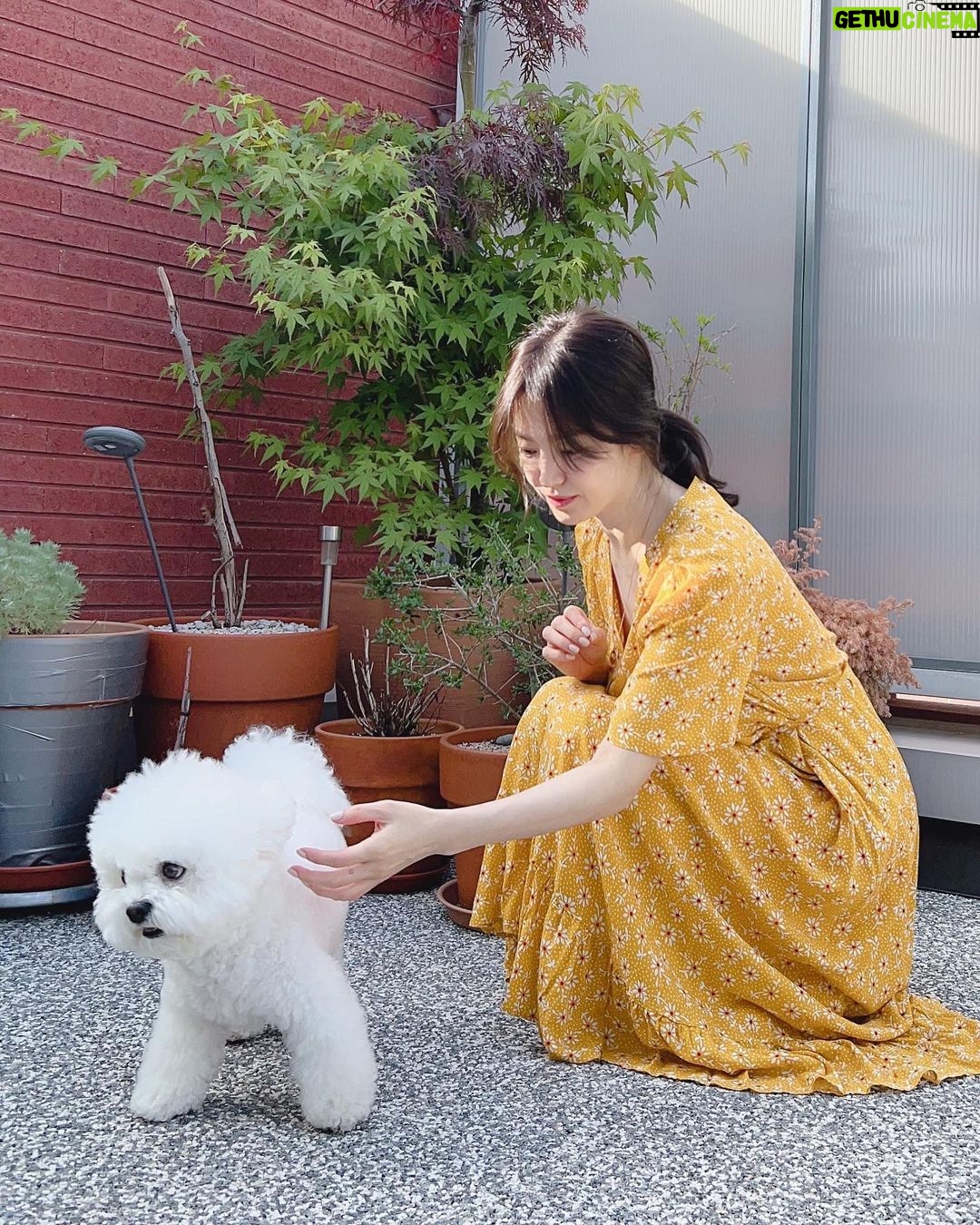 Song Hye-kyo - 2.7 Million Likes - āļøš¾