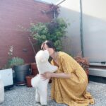 Song Hye-kyo Instagram - ☀️🐾