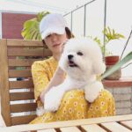 Song Hye-kyo Instagram - ☀️🐾