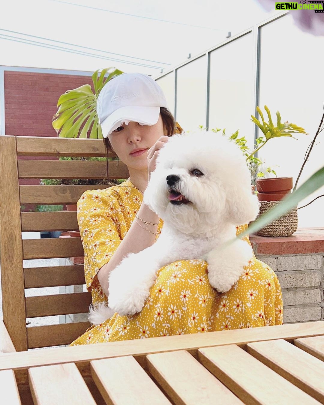 Song Hye-kyo - 2.7 Million Likes - āļøš¾