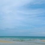 Song Hye-kyo Instagram – 🌊🐾🌸