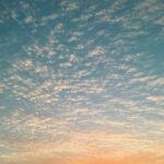 Song Hye-kyo Instagram -