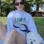 Song Hye-kyo Instagram - 🌿🐶🌳