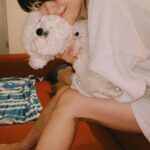 Song Hye-kyo Instagram - 🌊🐾🌸