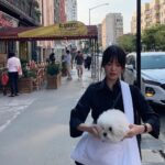 Song Hye-kyo Instagram - With ruby🤍🐶