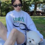Song Hye-kyo Instagram - 🌿🐶🌳