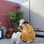 Song Hye-kyo Instagram - ☀️🐾
