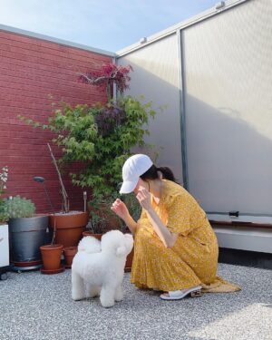 Song Hye-kyo Instagram - ☀️🐾