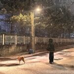 Song Yuqi Instagram - 🐶❄️🐶