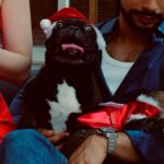 Sophia Abrahão Instagram - Um Feliz Natal cheio de amor, saúde, paz e felicidade pra todos vocês🎄❤️