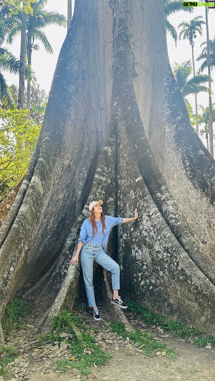 Sophia Abrahão Instagram - Foi incrível conhecer o Jardim Botânico aqui do Rio 🌿💚 Vocês sabiam que o parque é referência para a pesquisa em botânica e conservação da biodiversidade, além de patrimônio cultural e histórico do Brasil? Maravilhoso, né? E @brasil.shell, nossa grande parceira nesse ano* tem um projeto incrível de revitalização do Museu do Jardim Botanico. Eu já tô ansiosa pra ver tudo! Fico muito feliz com essa parceria linda e todo cuidado que a Shell tem com o futuro 🙌🏻 #EnergiaQueVemDaGente #CaminhosDoAmanhã • publicidade *Conteúdo gravado em Dez/23
